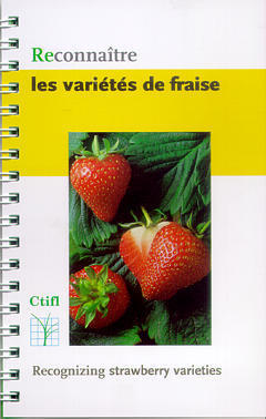 Reconnaître les variétés de fraise. Recognizing strawberry varieties