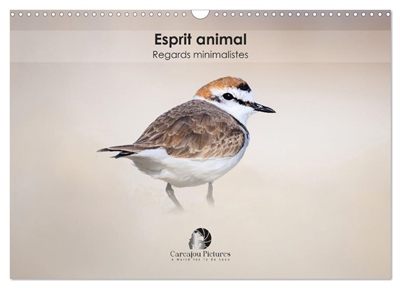 Esprit animal : Regards minimalistes (Calendrier mural 2026 DIN A3 vertical), CALVENDO calendrier mensuel : Un calendrier raffiné qui capture, mois après mois, la force et l’émotion des animaux à travers des portraits minimalistes et épurés.