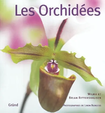 Les orchidées