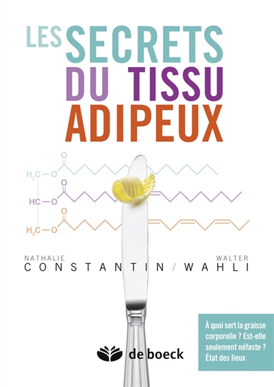 Les secrets du tissu adipeux : A quoi sert la graisse corporelle ? Est-elle seulement néfaste ? État des lieux