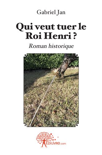 Qui veut tuer le roi henri ? : Roman historique