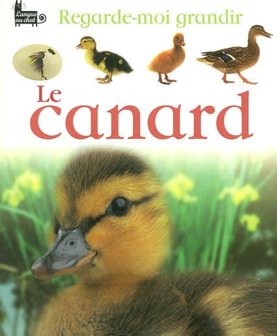 Le canard