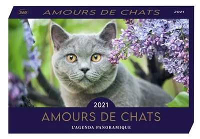 Amours de chats 2021 : l'agenda panoramique
