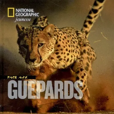 Face aux guépards