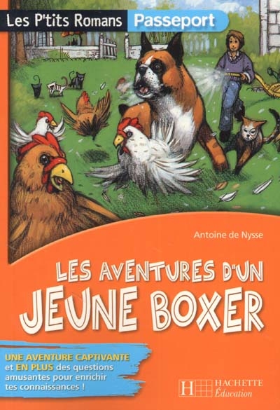 Les Aventure D Un Jeune Boxer