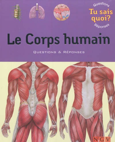 Le corps humain : questions & réponses