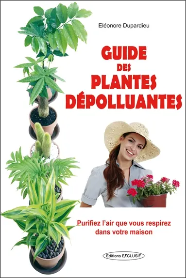 Guide des plantes dépolluantes : purifiez l'air que vous respirez dans votre maison