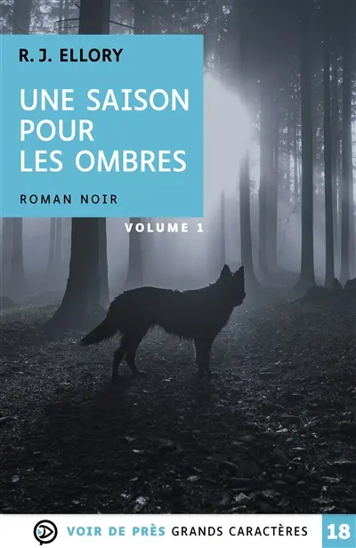 Une saison pour les ombres : roman noir