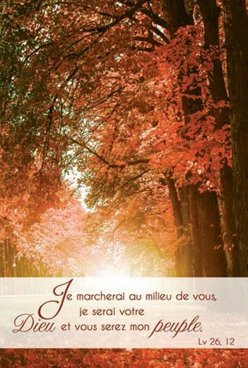 LOT DE 20 - CARTE SIMPLE PHOTO NATURE JE MARCHERAI AU MILIEU DE VOUS - VENDU PAR LOT DE 20 EXEMPLAIR