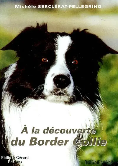 A la découverte du border collie
