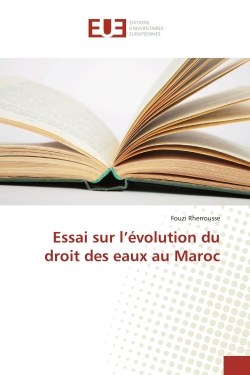 Essai sur l'évolution du...