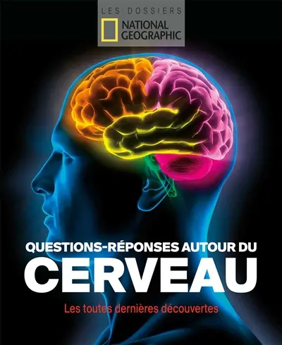 Questions-réponses autour du cerveau : les toutes dernières découvertes