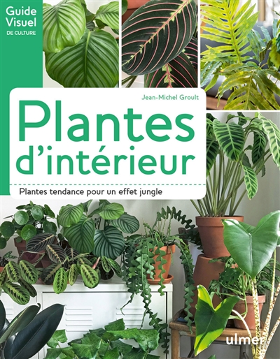Plantes d'intérieur : plantes tendance pour un effet jungle