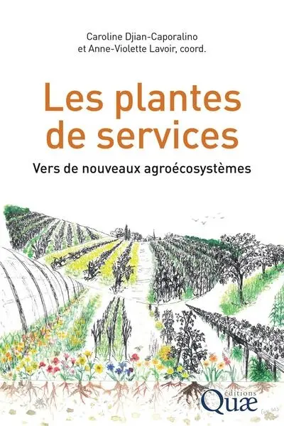 Les plantes de services : vers de nouveaux agroécosystèmes