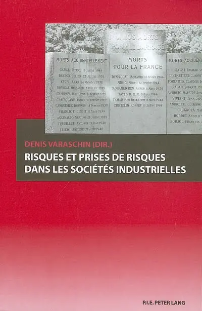 Risques et prises de risques dans les sociétés industrielles