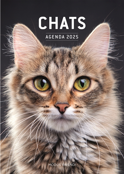 Chats : Agenda 2025 : 2025 : Soyez heureux avec votre petit félin