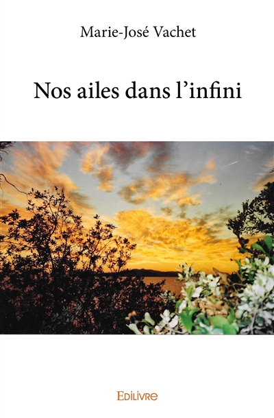 Nos ailes dans l'infini