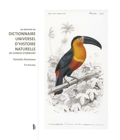 Les planches du Dictionnaire universel d'histoire naturelle de Charles d'Orbigny : portraits d'animaux