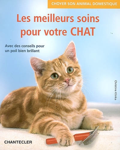 Les meilleurs soins pour votre chat