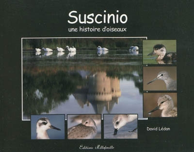 Suscinio, une histoire d'oiseaux.... Intrigues dans les marais : fable
