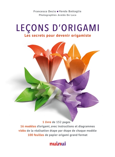Leçons d'origami : les secrets pour devenir origamiste