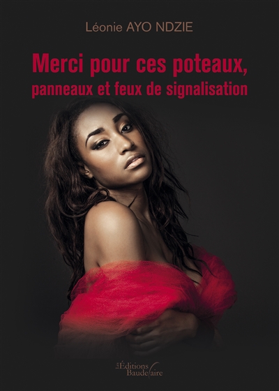 Merci pour ces poteaux, panneaux et feux de signalisation