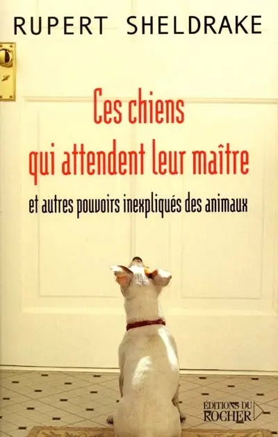 Ces chiens qui attendent leur maître et autres pouvoirs inexpliqués des animaux