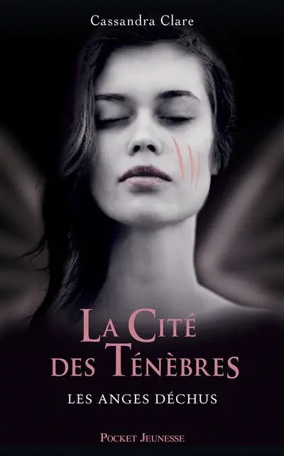 La Cité des ténèbres. Vol. 4. Les anges déchus