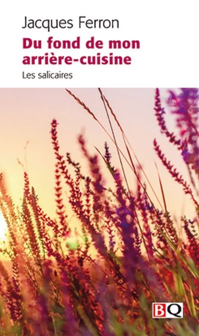Du fond de mon arrière-cuisine : salicaires