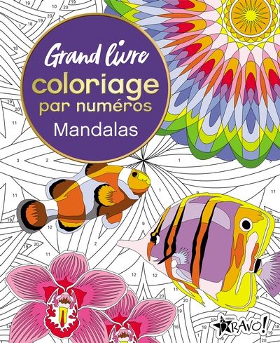 Grand livre de coloriage par numéros : Mandalas