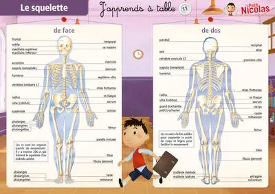 J'apprends à table : le Petit Nicolas. Vol. 11. Le squelette, les muscles