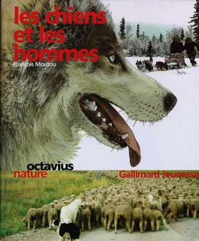 Les chiens et les hommes