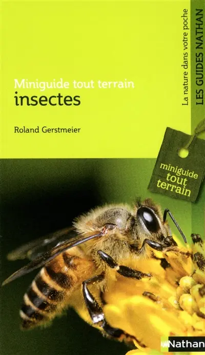 Insectes