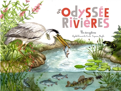 L'odyssée des rivières : un écosystème aquatique