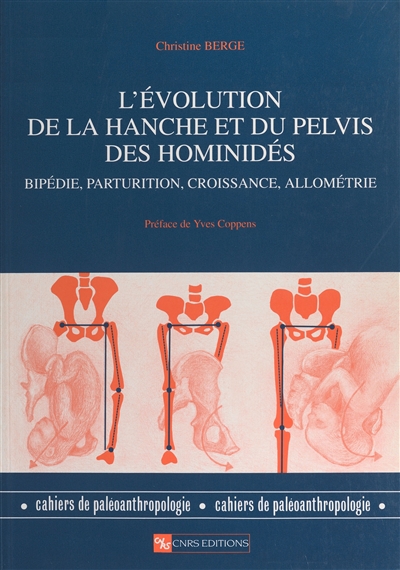 Evolution de la hanche et du pelvis des hominidés : bipédie, parturition, croissance, allométrie