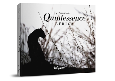 Quintessence : Africa