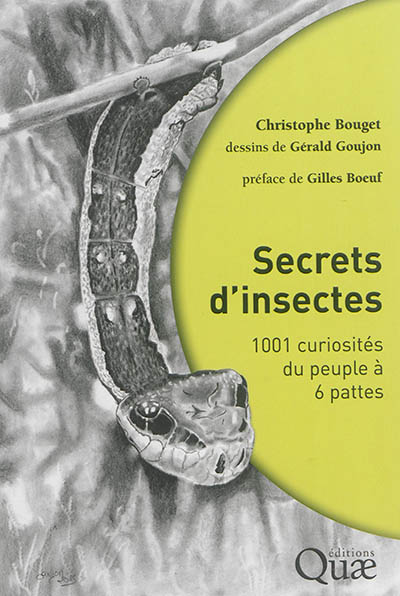 Secrets d'insectes : 1.001 curiosités du peuple à 6 pattes
