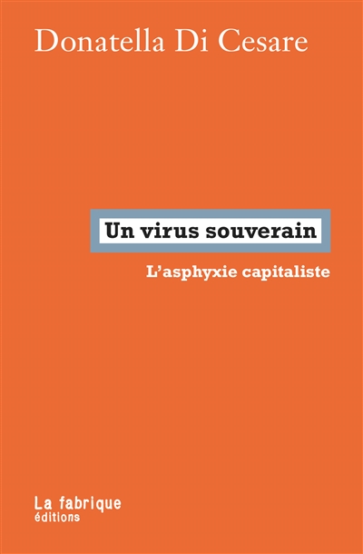 Un virus souverain : l'asphyxie capitaliste