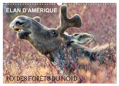 ELAN D'AMERIQUE : ROI DES FORETS DU NORD (Calendrier mural 2026 DIN A3 vertical), CALVENDO calendrier mensuel : Comme un roi dans son royaume, l’orignal d’Amérique domine par sa puissance et aucun autre animal ne viendra le déranger.