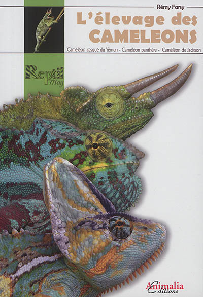 L'élevage des caméléons : caméléon casqué du Yémen, caméléon panthère, caméléon de Jackson