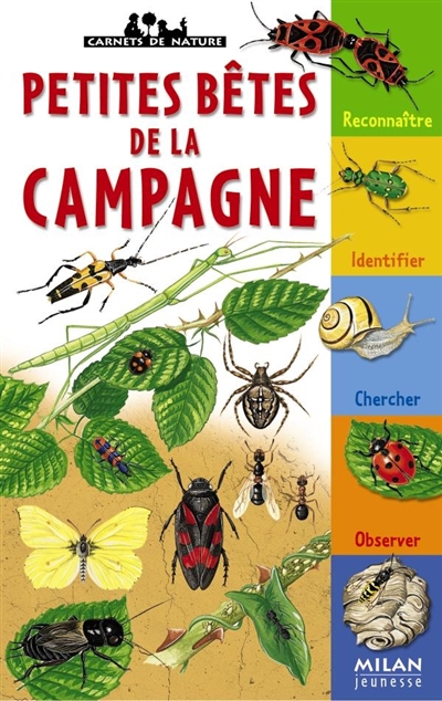 petites bêtes de la campagne