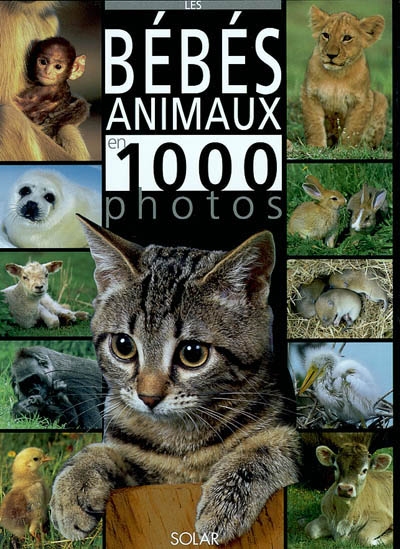 Les bébés animaux en 1.000 photos