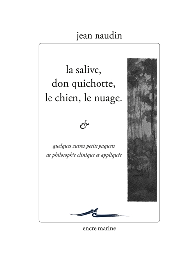 la salive, don quichotte, le chien, le nuage : & quelques autres petits paquets de philosophie clinique et appliquée