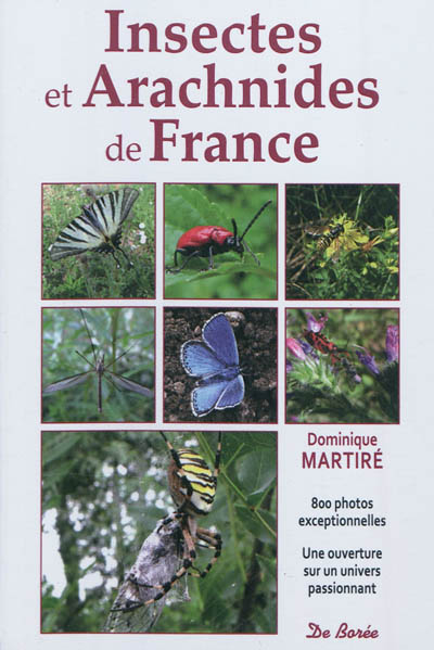 Insectes et arachnides de France