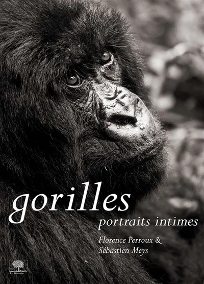 Gorilles : portraits intimes