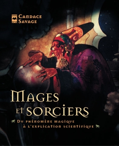 Mages et sorciers : du phénomène magique à l'explication scientifique