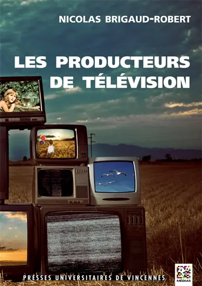 Les producteurs de télévision : socio-économie d'une profession