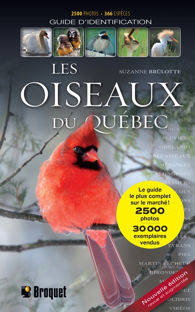 Les oiseaux du Québec :...