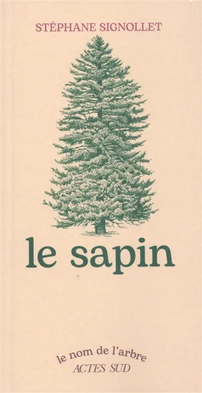 Le sapin