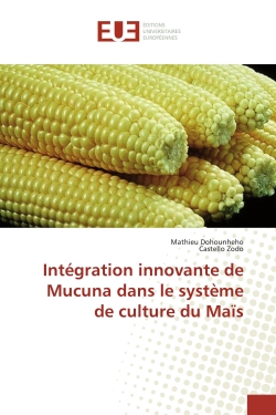 Intégration innovante de...